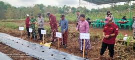 Kunjungan Bupati Gunungkidul terkait penanaman sayur di kalurahan Getas